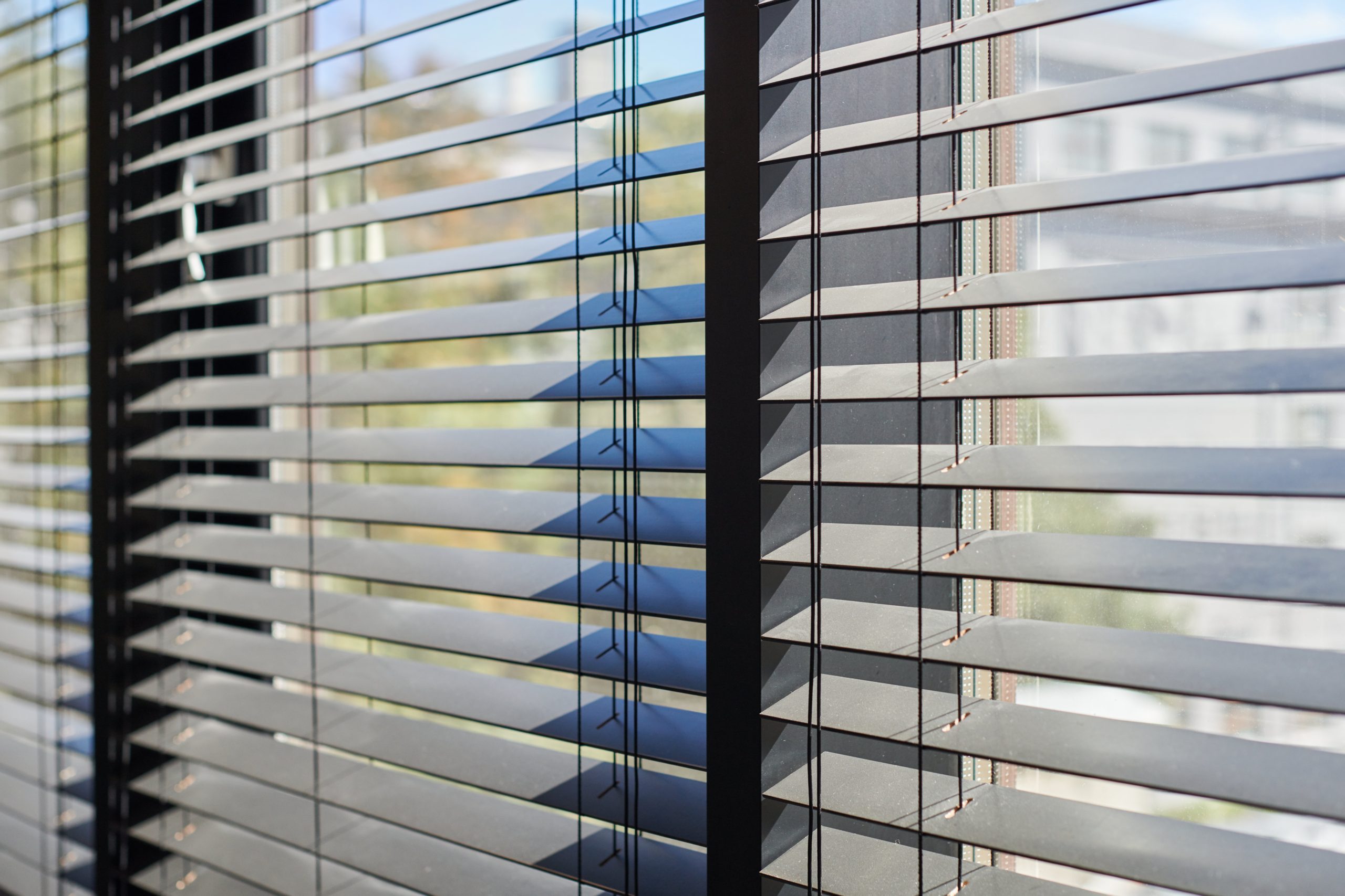 Choosing Window Blinds For Office - Emotuit